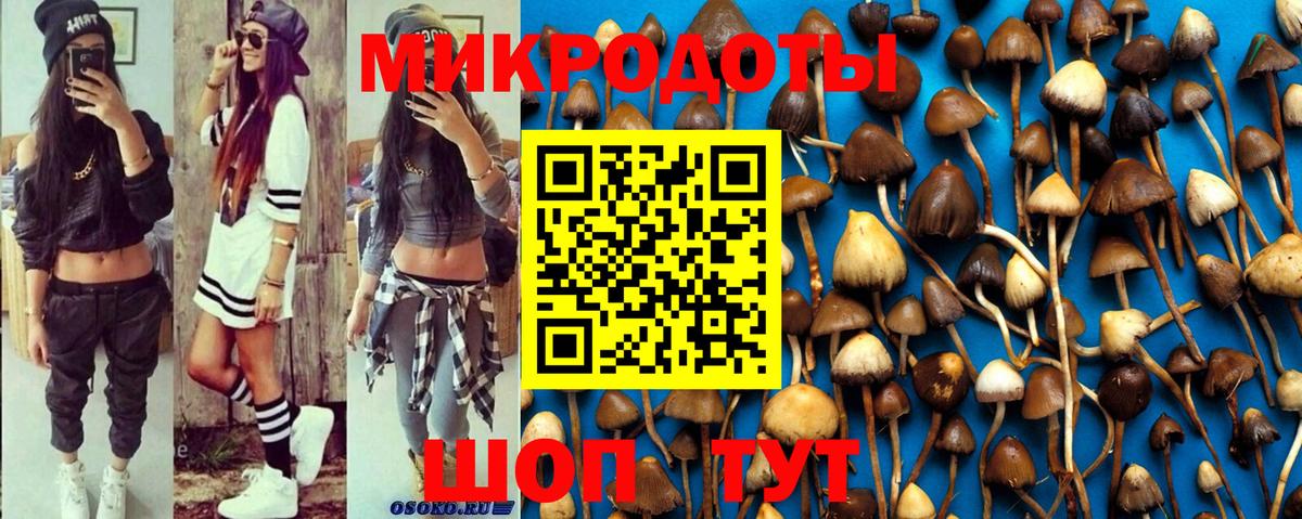 Псилоцибиновые грибы MAGIC MUSHROOMS  Вход с VPN  Ухта 